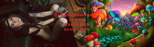 прущие крисы Ачинск