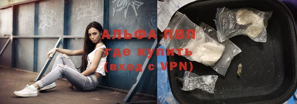 амф Артём