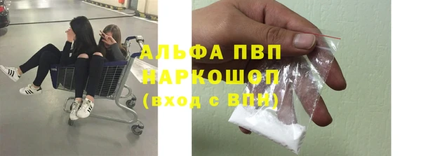 прущие крисы Ачинск