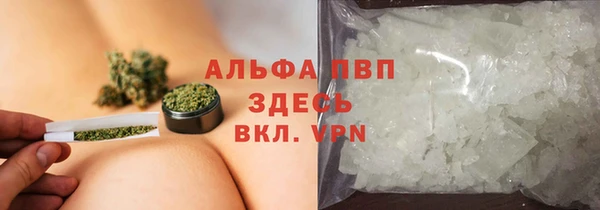 ешки Бердск