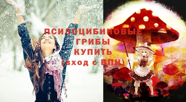 ешки Бердск